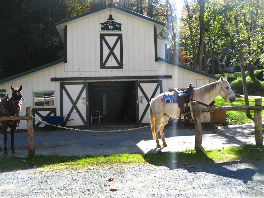 Valle Crucis Farm Esterno foto