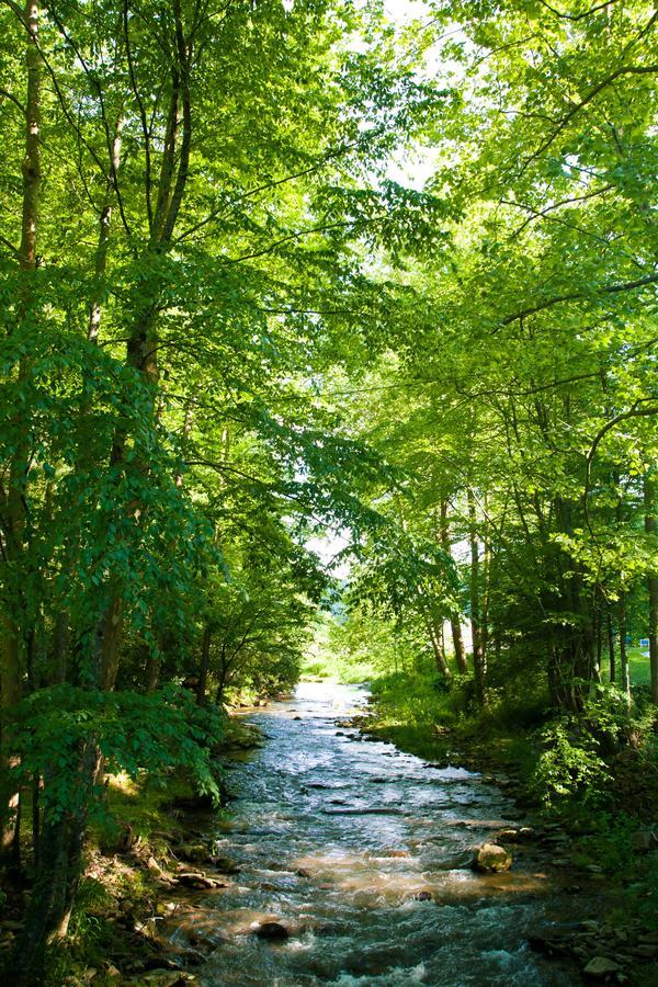 Valle Crucis Farm Esterno foto